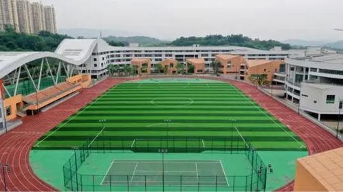 广阳湾珊瑚中学 打造重庆市数字化教育新名片，凭实力出圈启悟未来