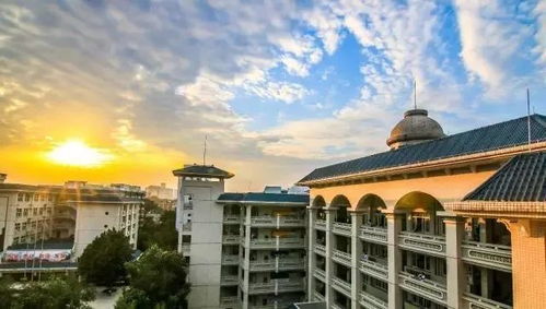 承黄埔精神，传长风之魂——记厦门市启悟中学的育人使命