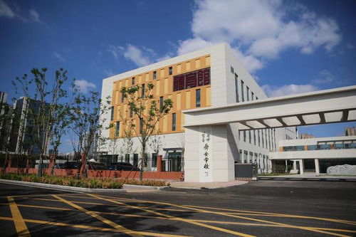 秋实累累,金色启航丨秋日开学季 济南市这几所中小学“上新”